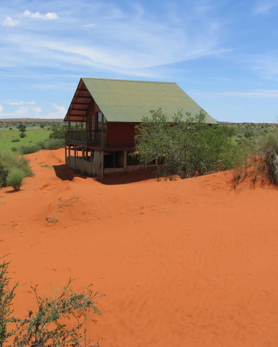 Timber lodge cabin with a green roof on a red sand dune under a blue sky