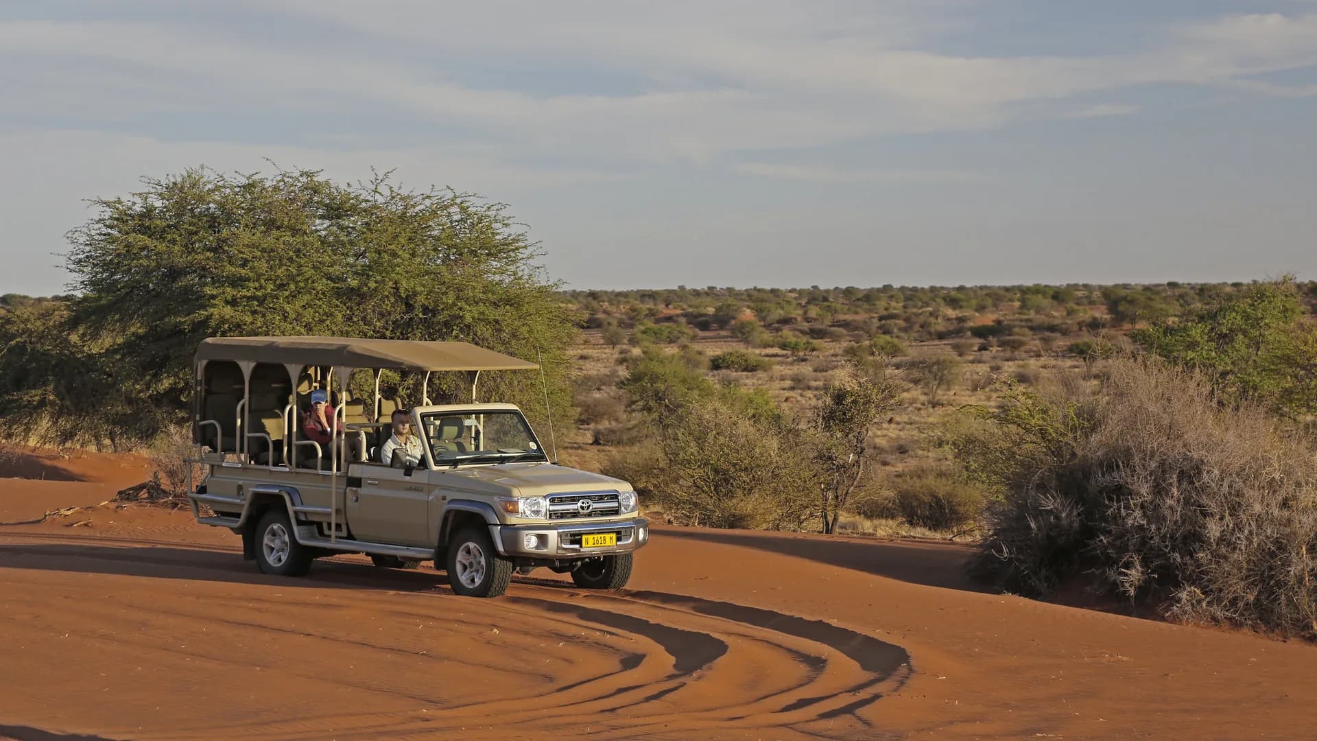 Safari tracks across red sand at golden hour